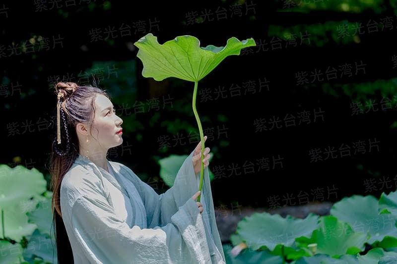 这一家人什么鬼？！