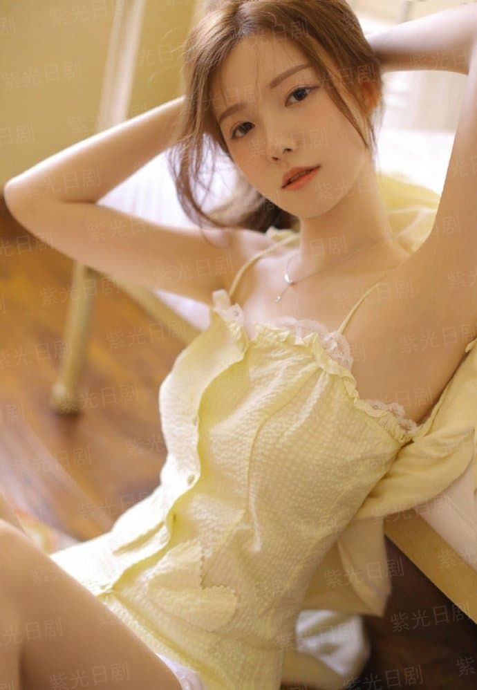 归来的大雁