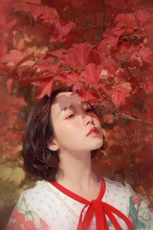 风的电话