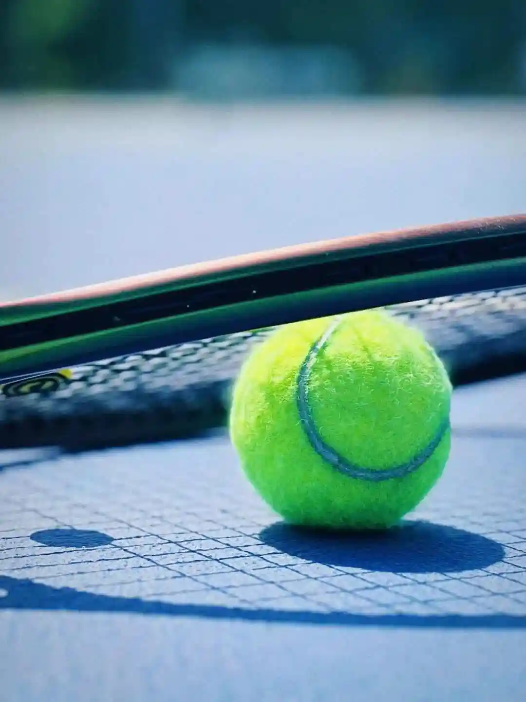 WTA罗马站女单第一轮：斯特凡尼尼VS奥斯塔彭科